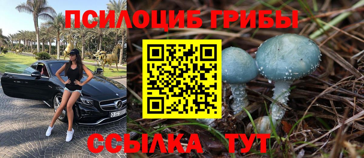 Абинск  Псилоцибиновые грибы Psilocybine cubensis  Вход с VPN 
