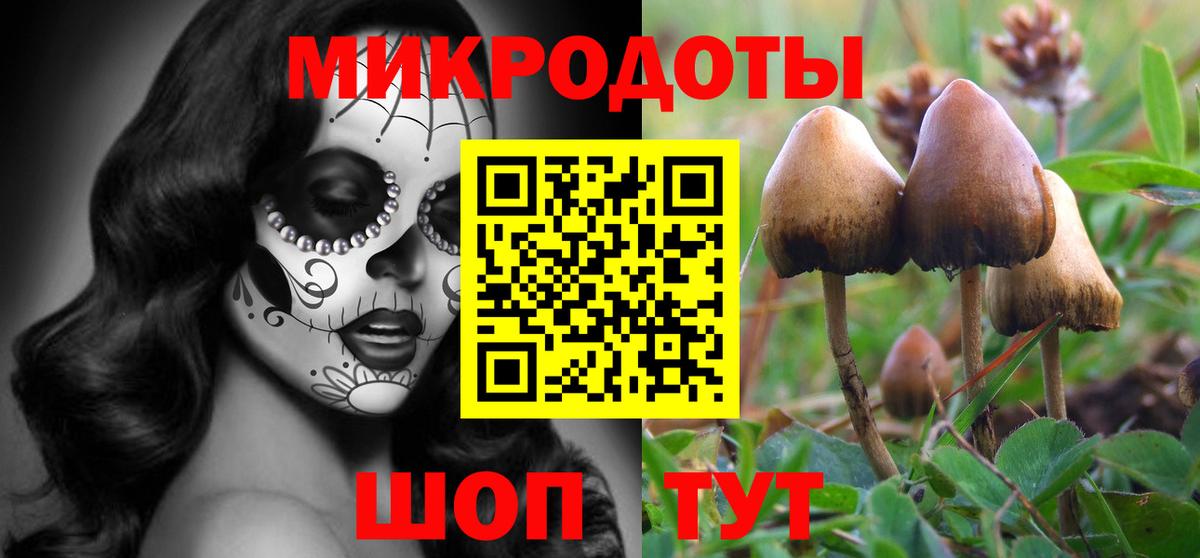 Галлюциногенные грибы мухоморы Абинск